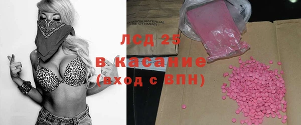 ПСИЛОЦИБИНОВЫЕ ГРИБЫ Арсеньев
