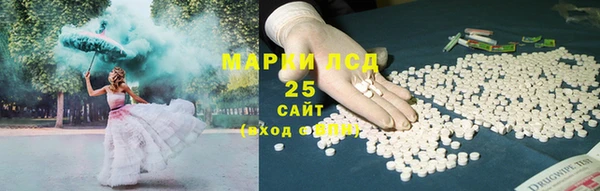 ПСИЛОЦИБИНОВЫЕ ГРИБЫ Арсеньев